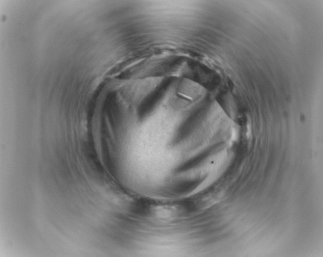 X0000088650508200706152011