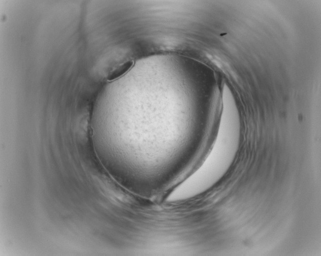 X0000088650509200706152011