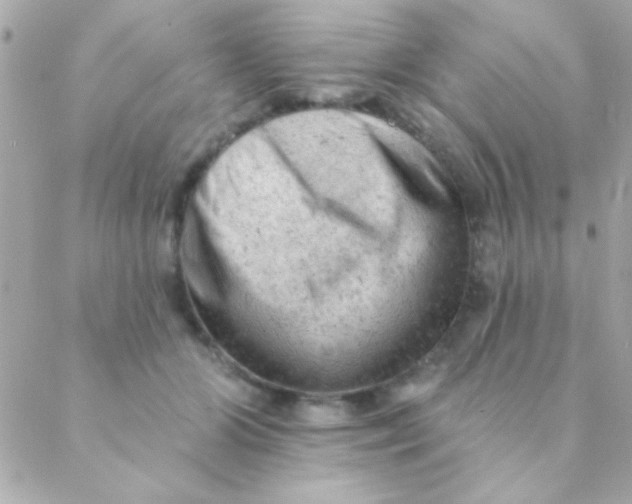 X0000088650510200706152011