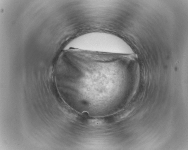 X0000088650511200706152011