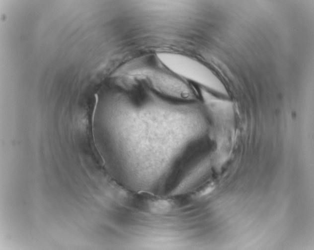 X0000088650513200706152011