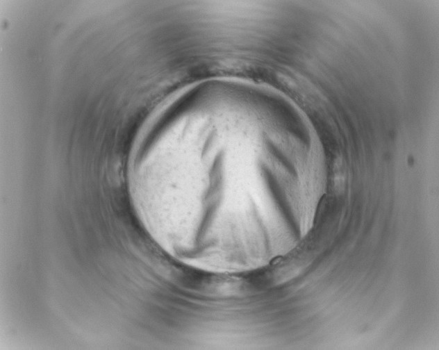 X0000088650514200706152011