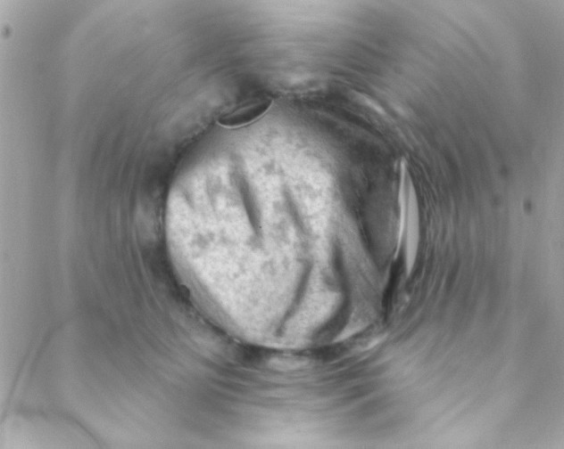 X0000088650515200706152011