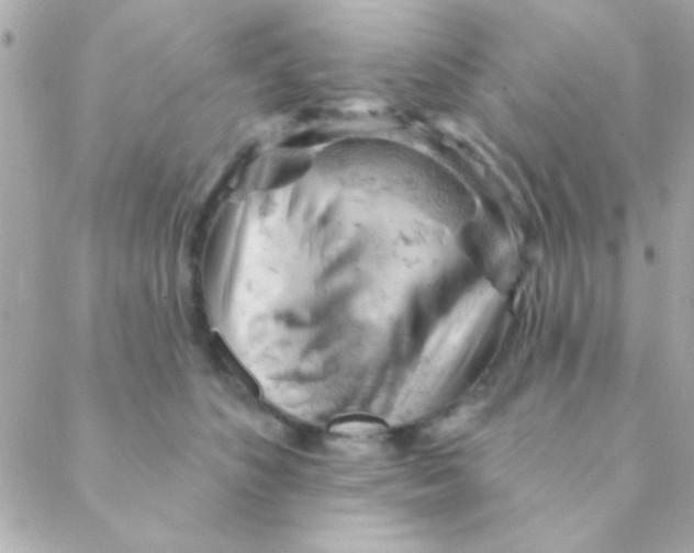 X0000088650516200706152011