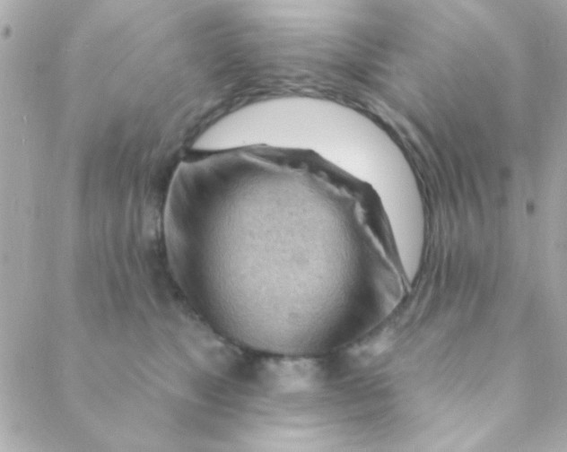 X0000088650517200706152011