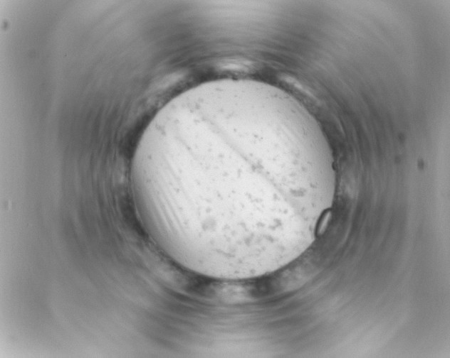 X0000088650518200706152011