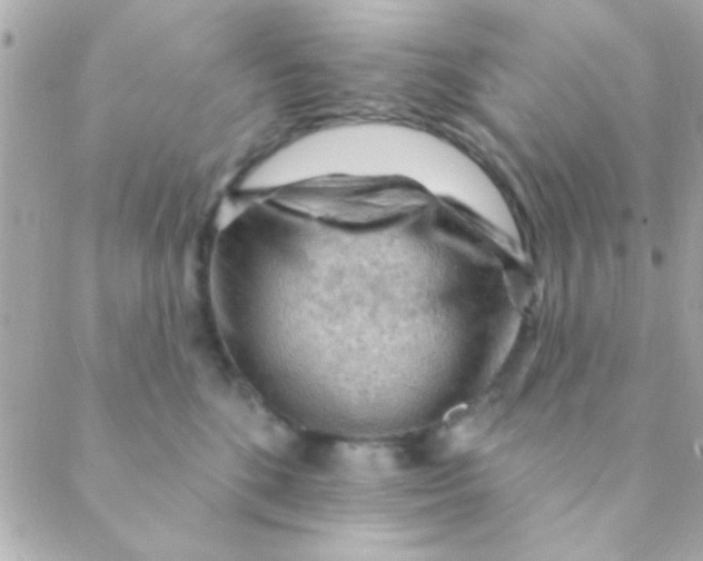 X0000088650520200706152011