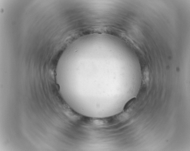 X0000088650522200706152010