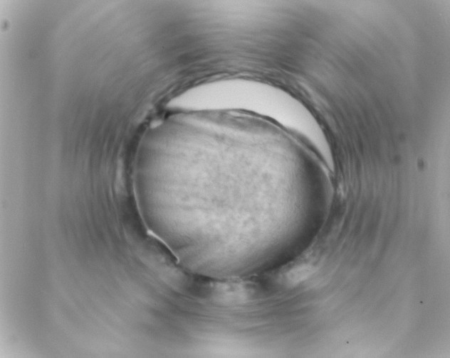 X0000088650524200706152010