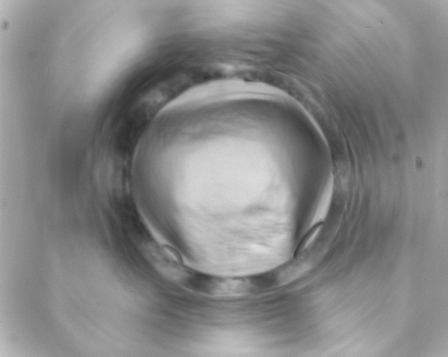 X0000088650527200706152010