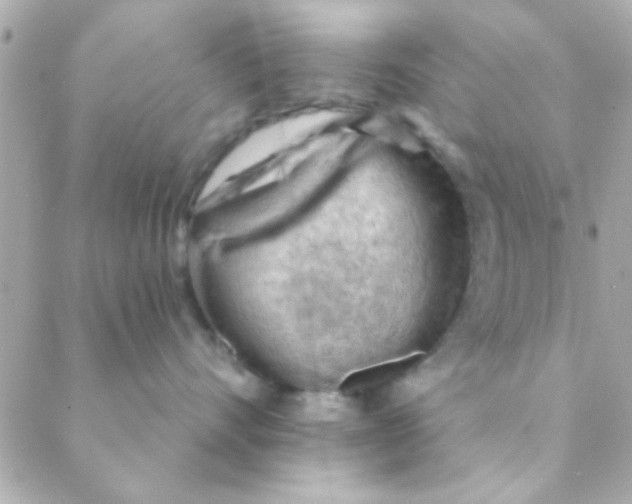 X0000088650528200706152010