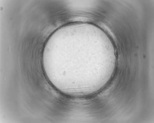 X0000088650529200706152010