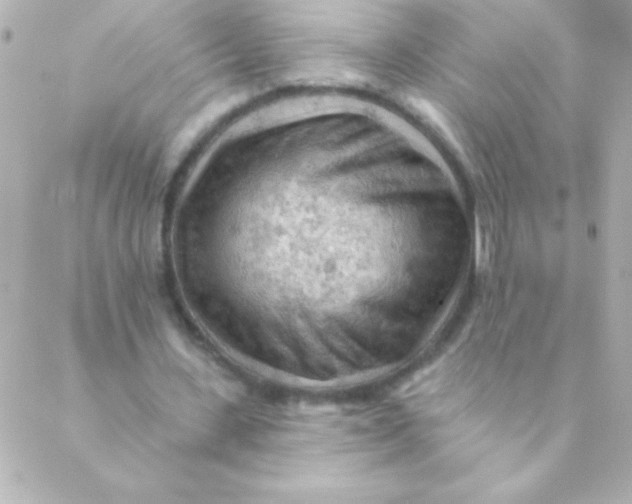 X0000088650531200706152010