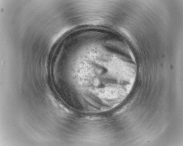 X0000088650532200706152010