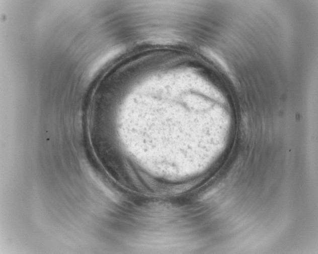 X0000088650535200706152010