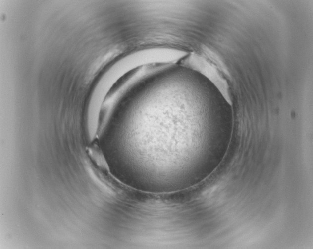 X0000088650538200706152010