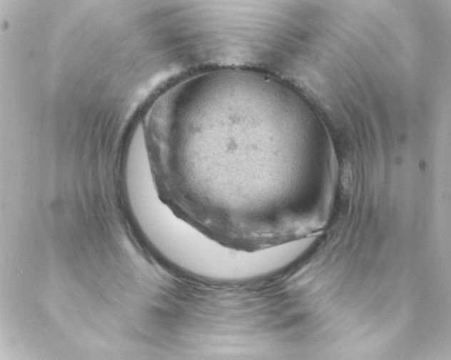 X0000088650540200706152010