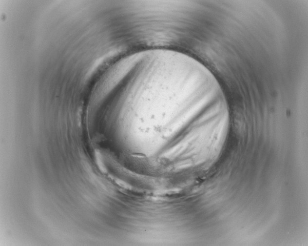 X0000088650543200706152010