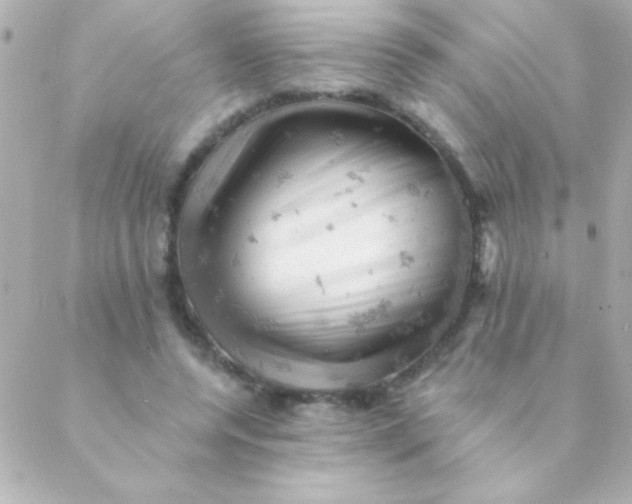 X0000088650544200706152010