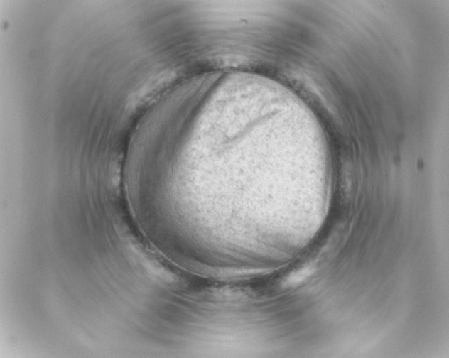 X0000088650545200706152010