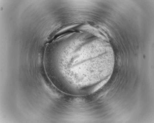 X0000088650546200706152010