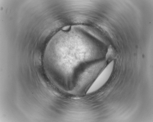 X0000088650547200706152010