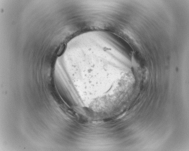 X0000088650548200706152010