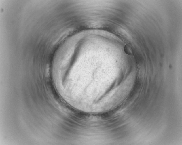 X0000088650549200706152010