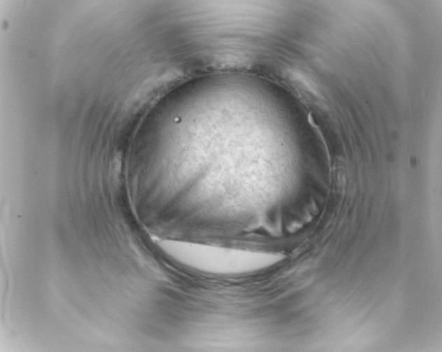 X0000088650550200706152010