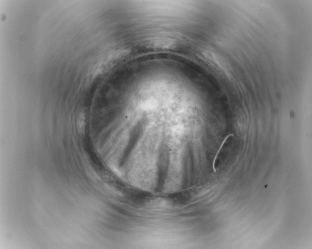 X0000088650551200706152010