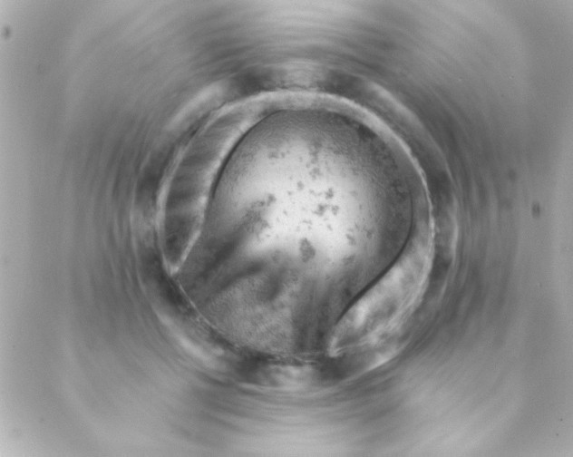 X0000088650552200706152010