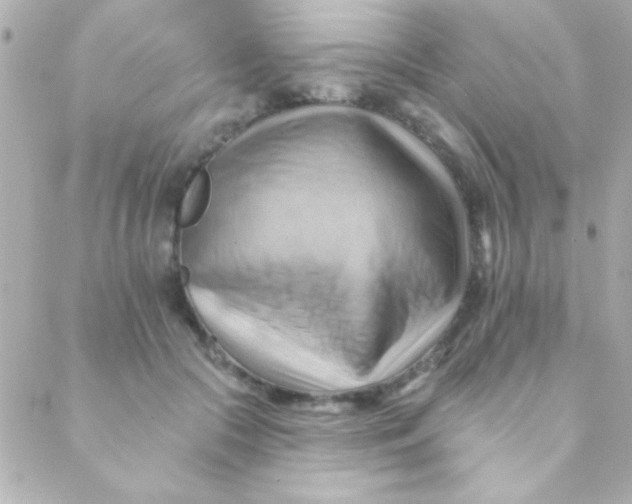 X0000088650553200706152010