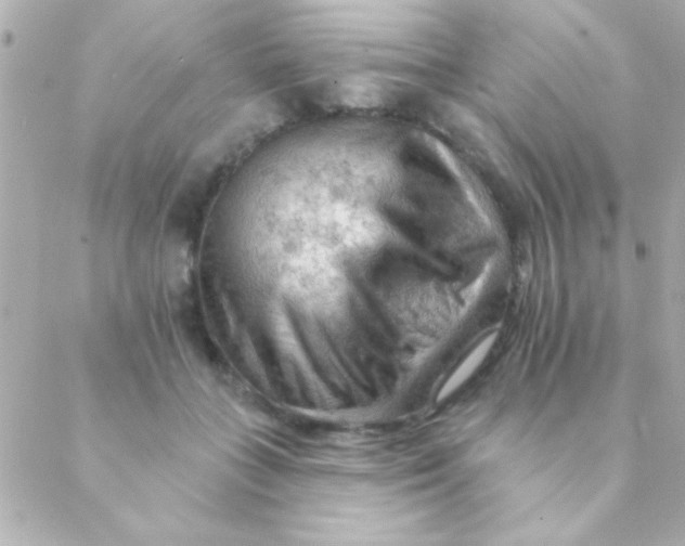 X0000088650555200706152010