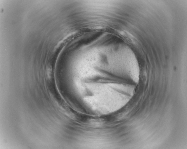 X0000088650556200706152010