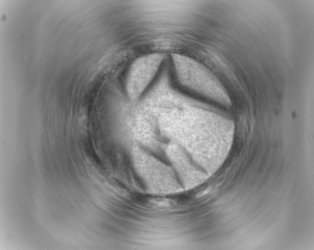 X0000088650557200706152010