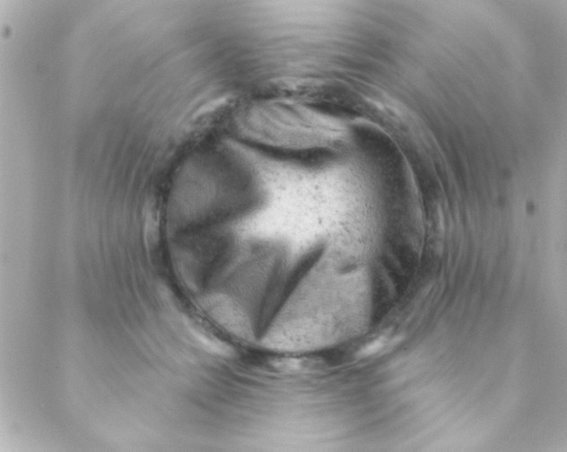 X0000088650558200706152010