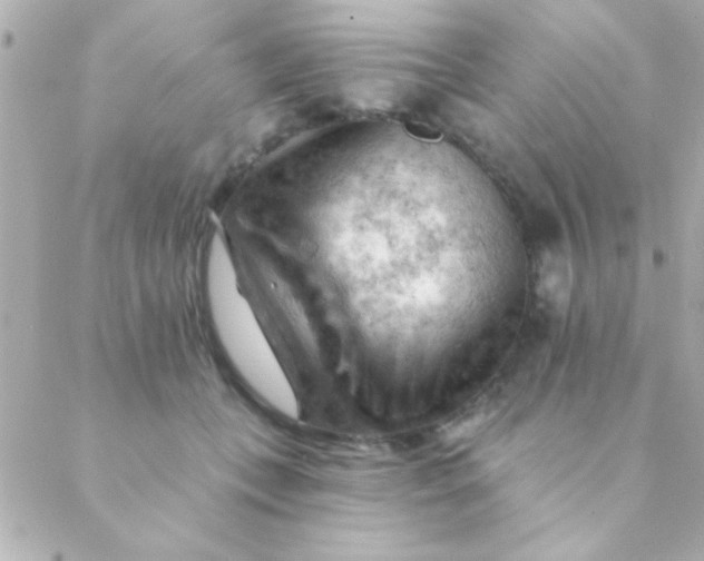 X0000088650559200706152010