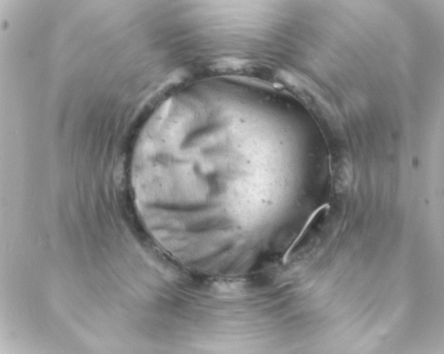 X0000088650560200706152010