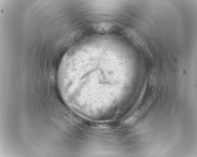 X0000088650561200706152010