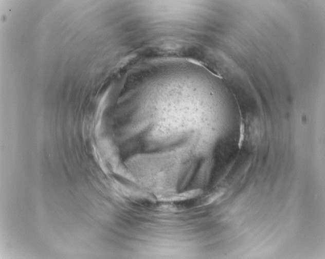 X0000088650562200706152010