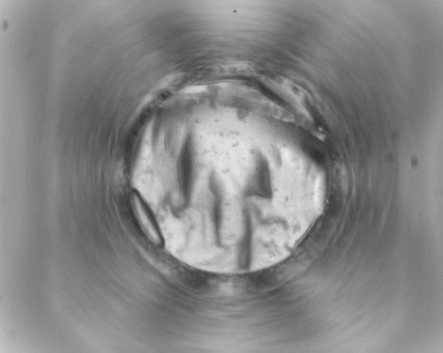 X0000088650564200706152010