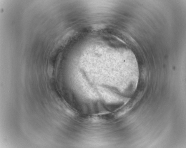 X0000088650565200706152010