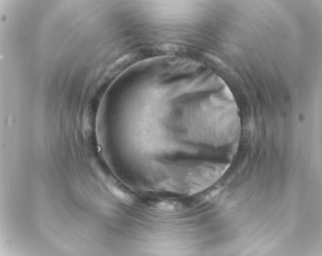 X0000088650566200706152010