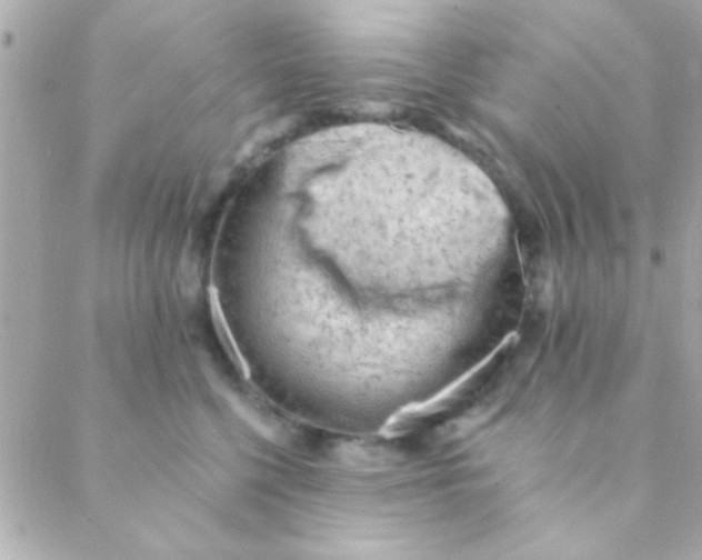 X0000088650568200706152010