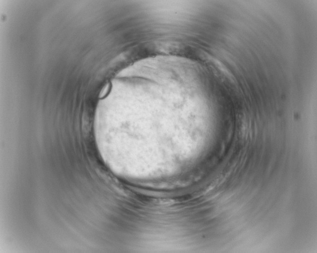 X0000088650569200706152010