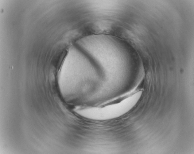 X0000088650570200706152010