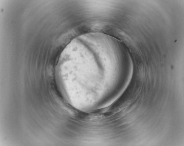 X0000088650571200706152010