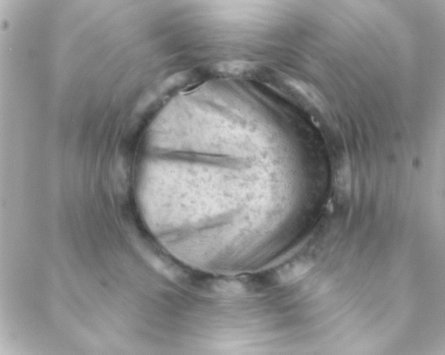 X0000088650572200706152010