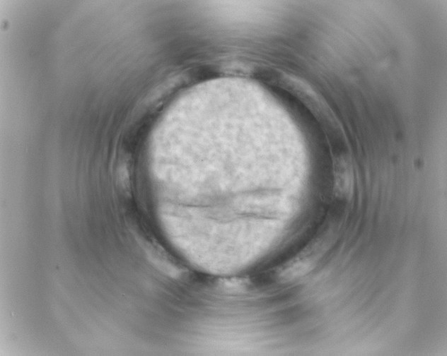 X0000088650573200706152010