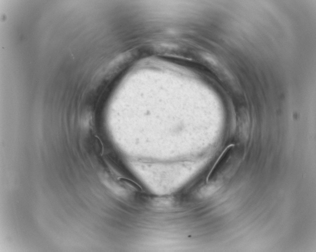 X0000088650574200706152010